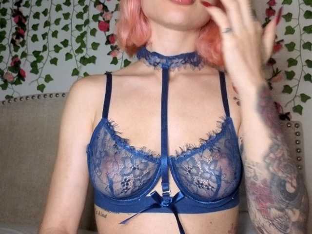 Xoxcat live webcam show