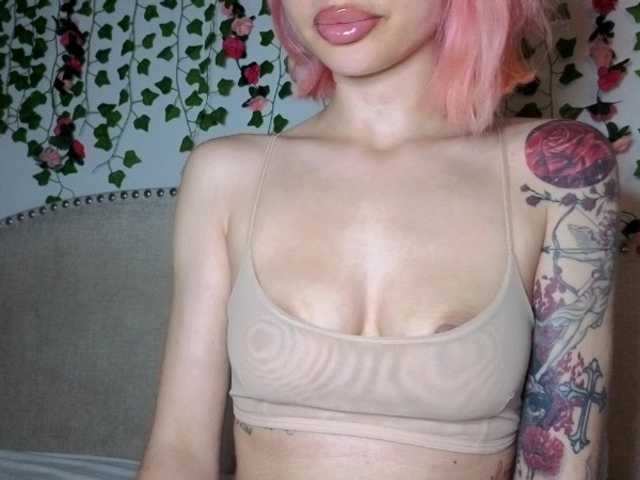 Xoxcat
