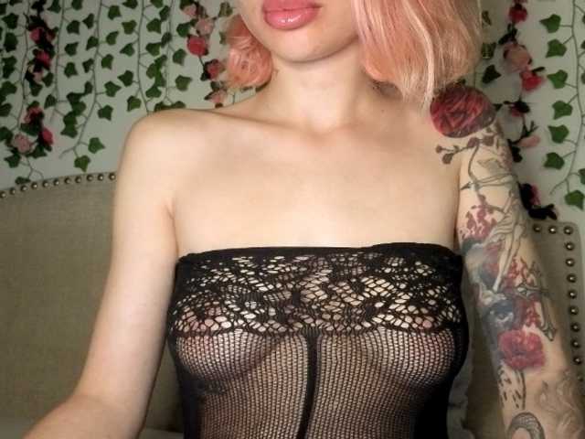 Xoxcat live webcam show