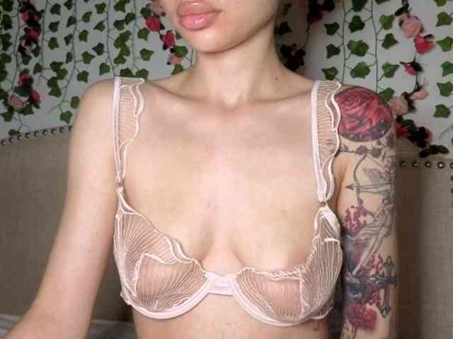 Xoxcat webcam