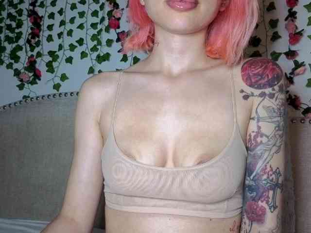 Xoxcat