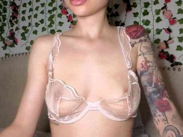 Xoxcat webcam