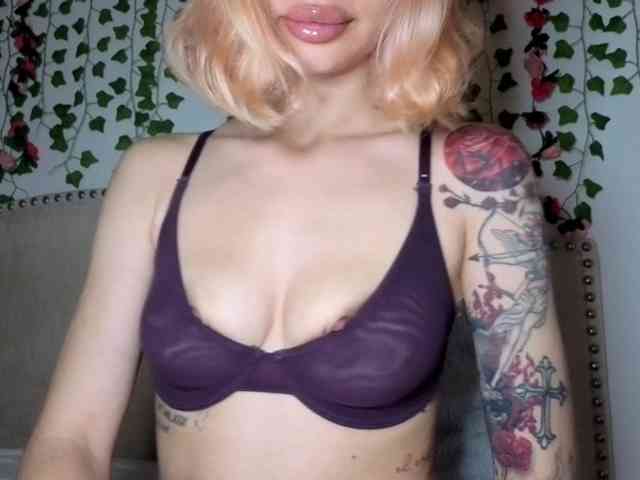 Model: Xoxcat