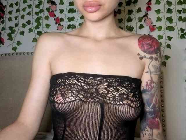 Xoxcat webcam