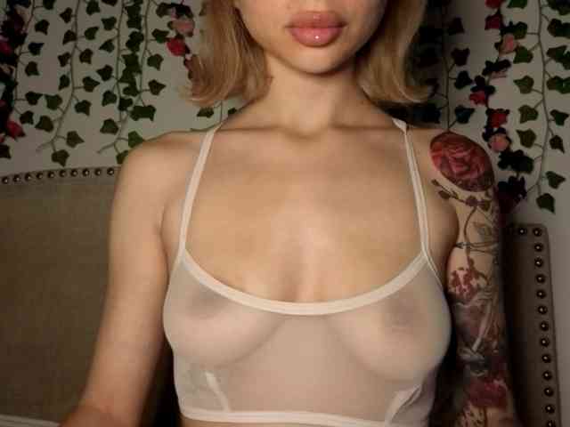 Xoxcat webcam