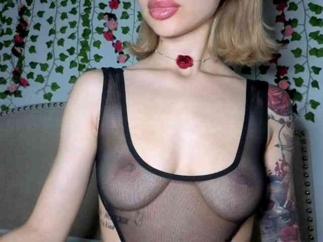 Xoxcat webcam