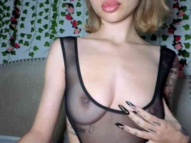 Xoxcat