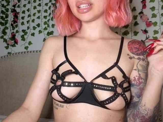 Xoxcat webcam