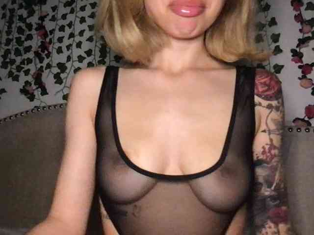 Xoxcat webcam