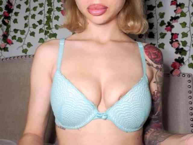 Xoxcat webcam