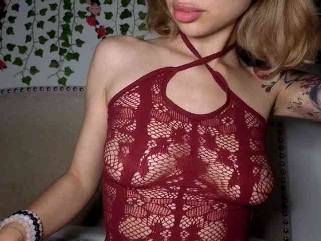Xoxcat webcam