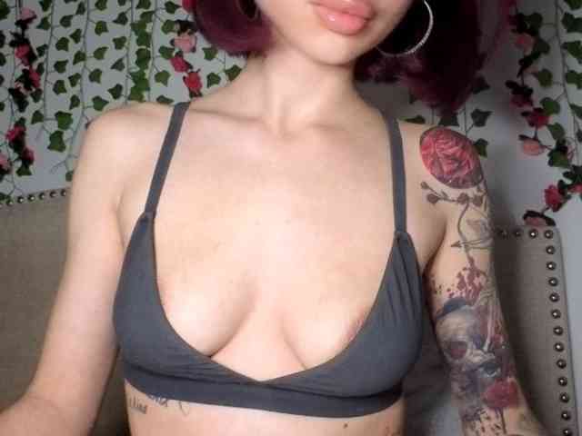 Xoxcat webcam