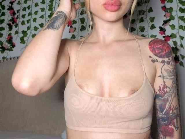 Xoxcat