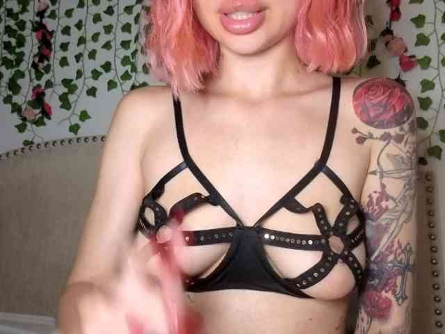 Xoxcat webcam