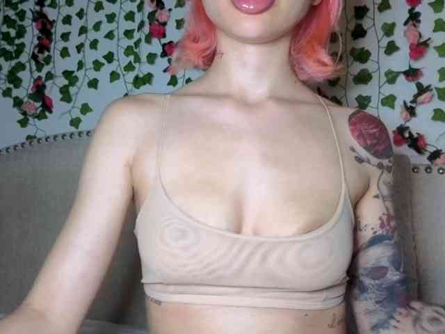 Xoxcat