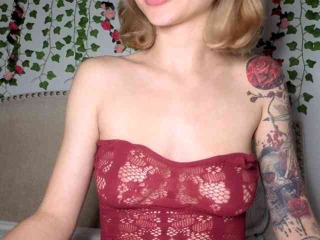 Xoxcat webcam