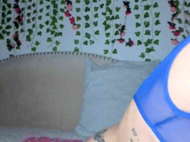 Xoxcat