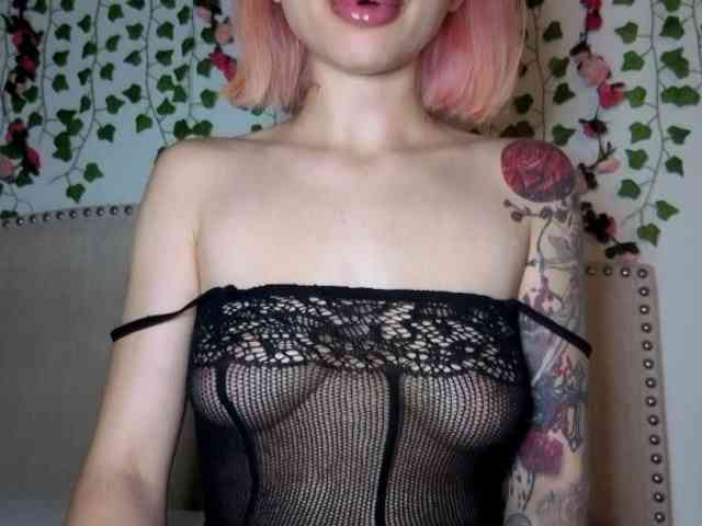 Model: Xoxcat