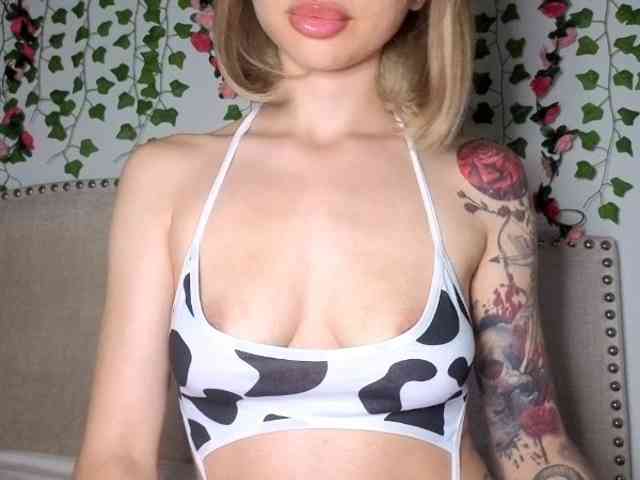 Model: Xoxcat