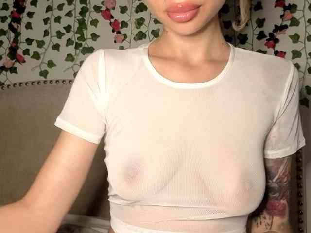 Model: Xoxcat