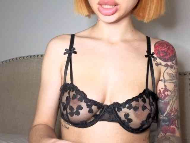 Model: Xoxcat