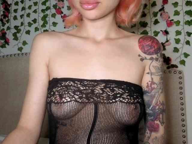 Xoxcat webcam