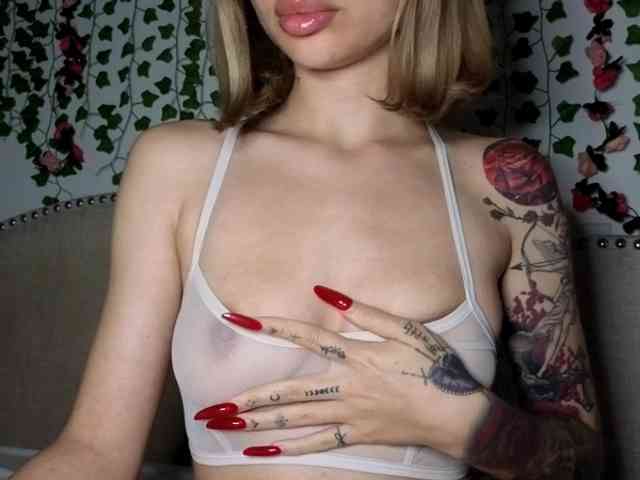 Xoxcat webcam