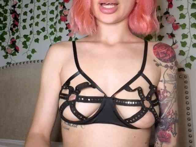 Xoxcat webcam