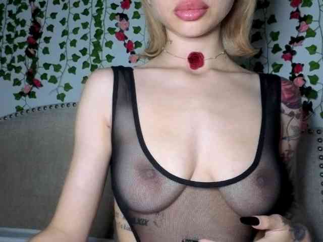 Xoxcat webcam