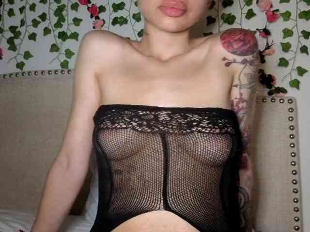 Xoxcat webcam