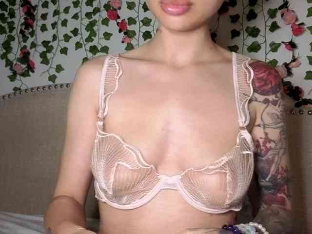 Xoxcat webcam