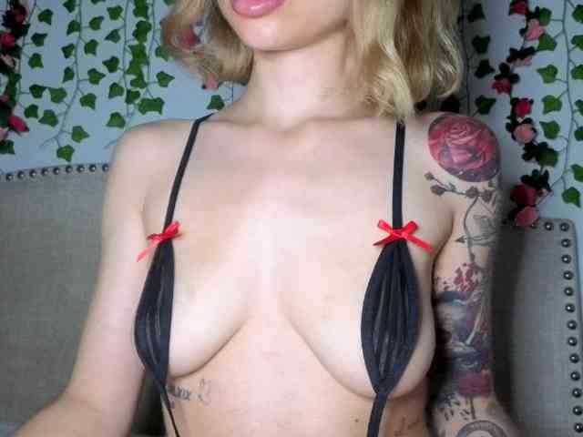 Xoxcat Xoxcat