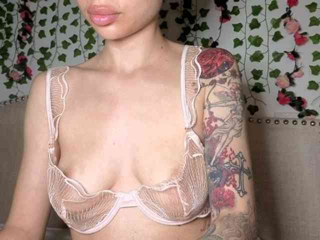 Xoxcat webcam