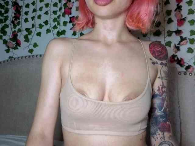 Xoxcat webcam