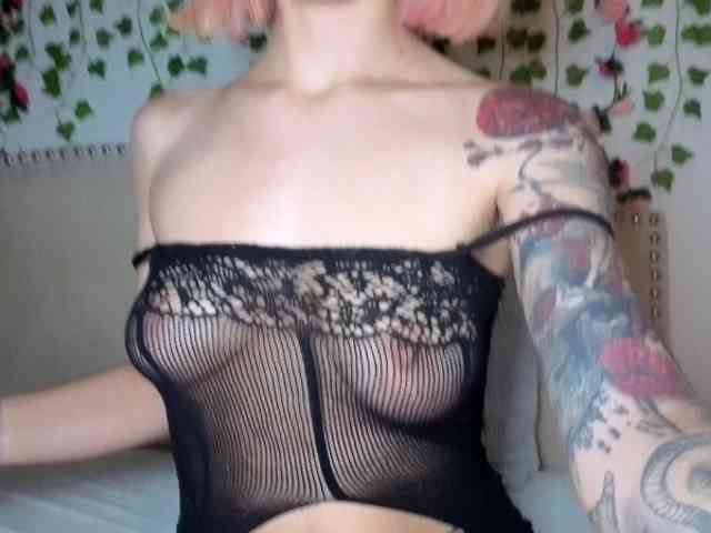 Xoxcat webcam