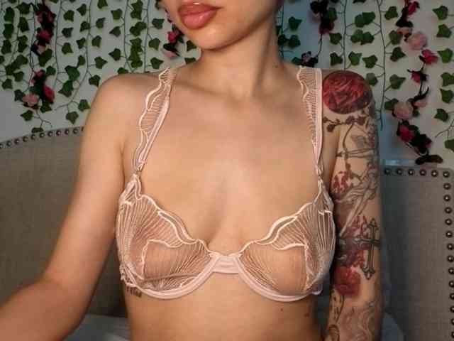 Xoxcat webcam