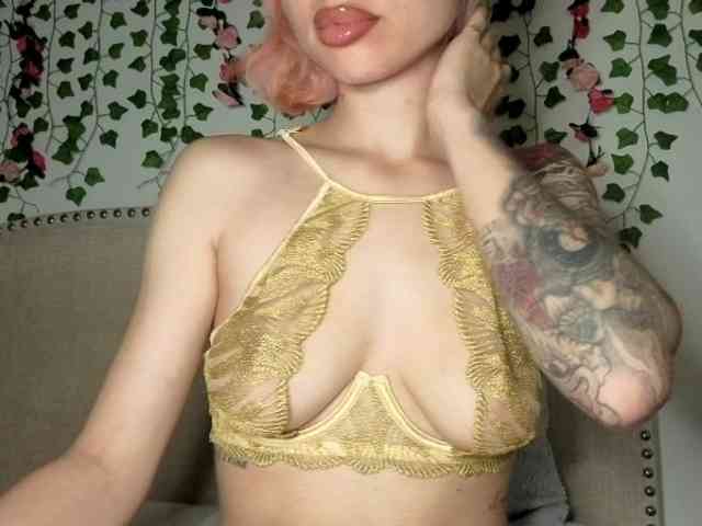 Xoxcat webcam
