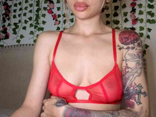 Xoxcat webcam