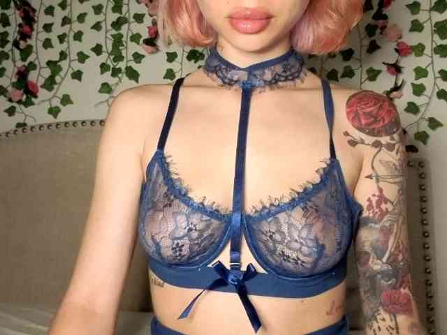 Xoxcat webcam