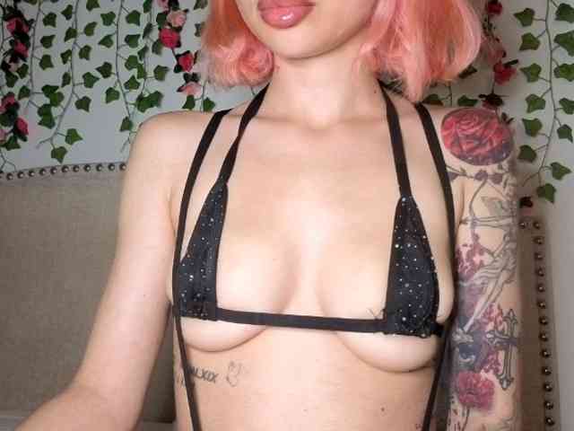 Xoxcat webcam