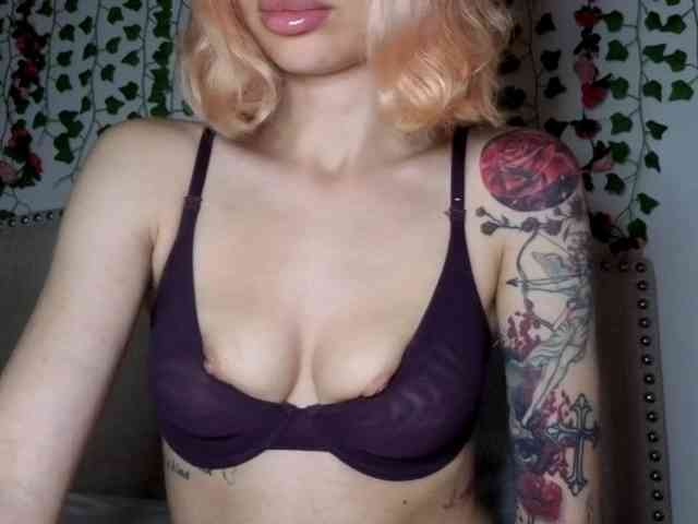 Model: Xoxcat