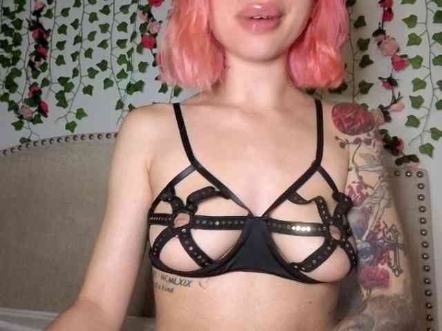 Xoxcat webcam