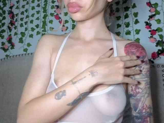Xoxcat