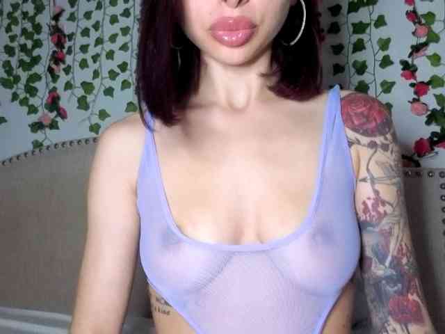 Xoxcat