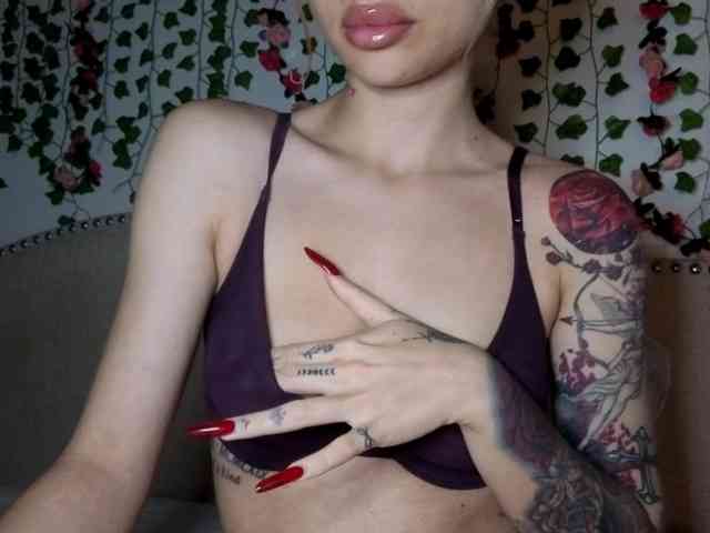 Xoxcat webcam