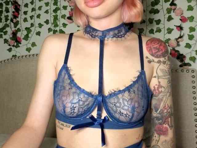 Xoxcat webcam