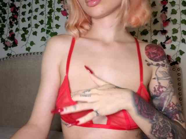 Xoxcat webcam
