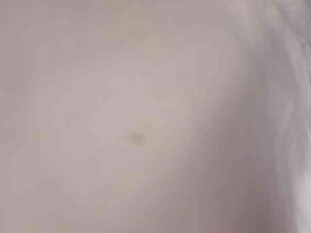 Xoxcat webcam