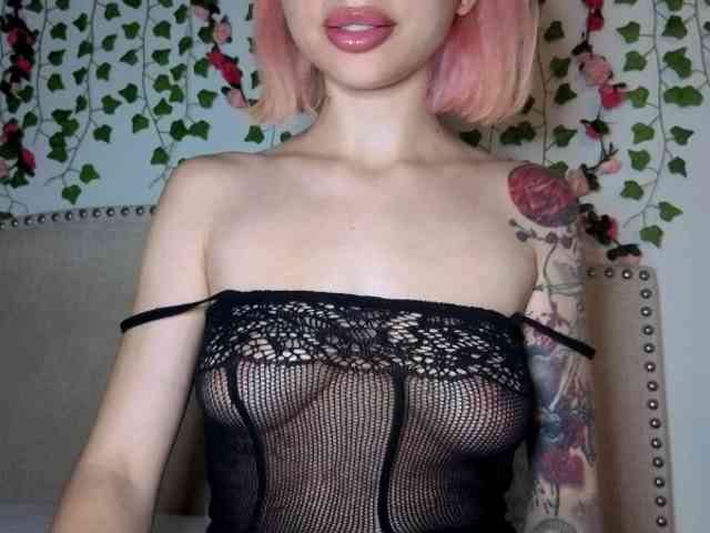 Xoxcat webcam