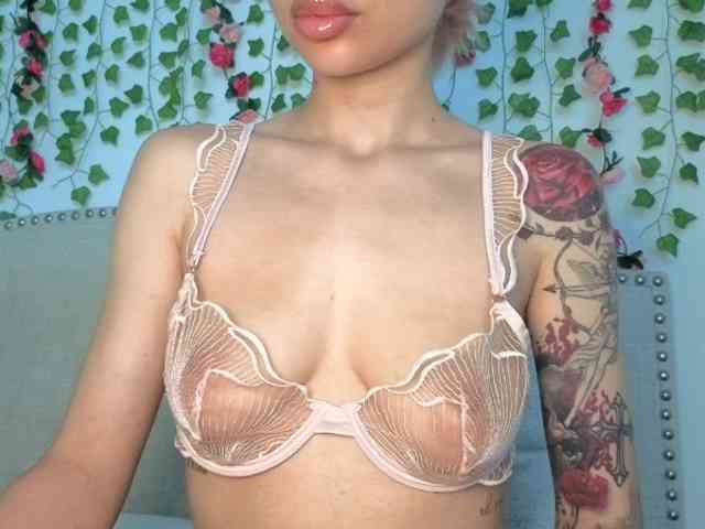 Xoxcat webcam